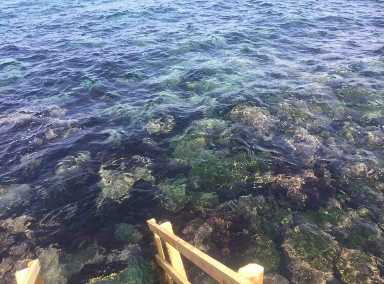 Gioia Villa อาชิเรอาเล ภายนอก รูปภาพ